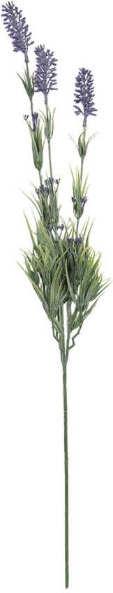 Clayre & Eef Kunstbloem Lavender 62 Cm Paars Kunststof Rechthoek Kunstplant Nepbloem Nepplant Paars Kunstplant Nepbloem