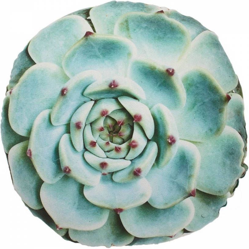 Dutch Decor Merga Sierkussen Rond En Met Plantenprint Koper 40x40 Cm Bruin Roze