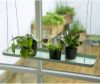 Esschert Design Plantenblad hangend rechthoekig L groen online kopen